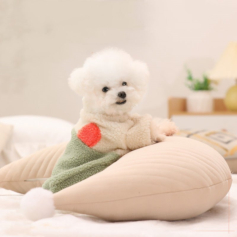 The Art of Pet Grooming: A Complete Guide to Keeping Your Furry Friend Clean and Healthy - TailTiddy
