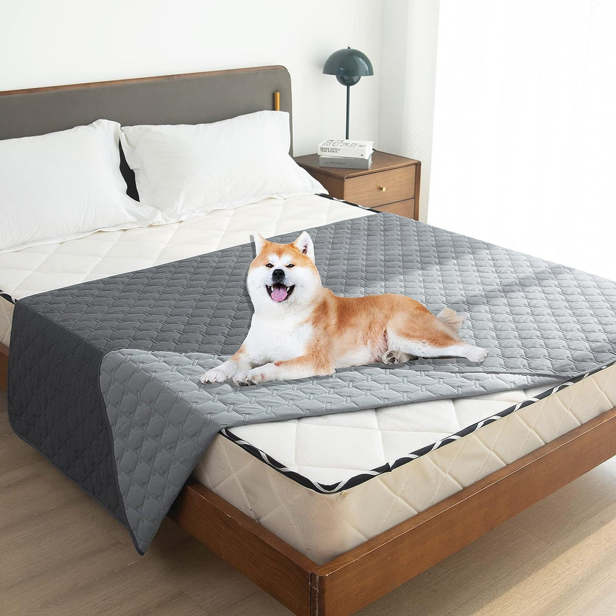 Double-sided Waterproof Pet Sofa Cushion Mattressscratch-resistant And Hair-free - TailTiddy