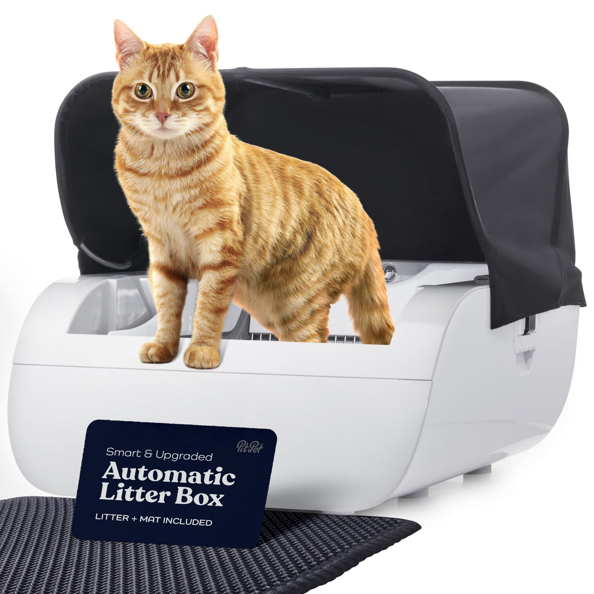 Smart Cat Litter Box Cat Litter Box Wide Opening - TailTiddy