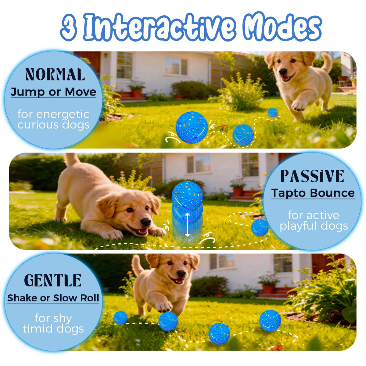 Smart Interactive Dog Ball: Automatic Motion-Activated Toy for Small Dogs - TailTiddy