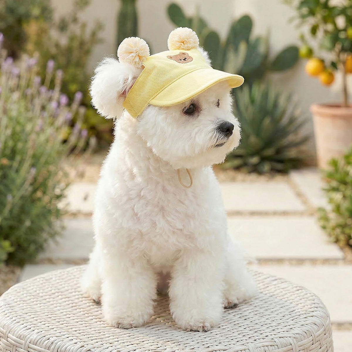 Pet Sun-protection Hat For Dressing Up And Photo Shoots - TailTiddy