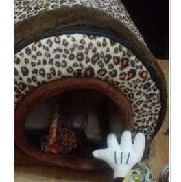 Tunnel Pet House – Cozy Cave with Play Tunnel for Cats & Small Dogs(Premium Product) - TailTiddy