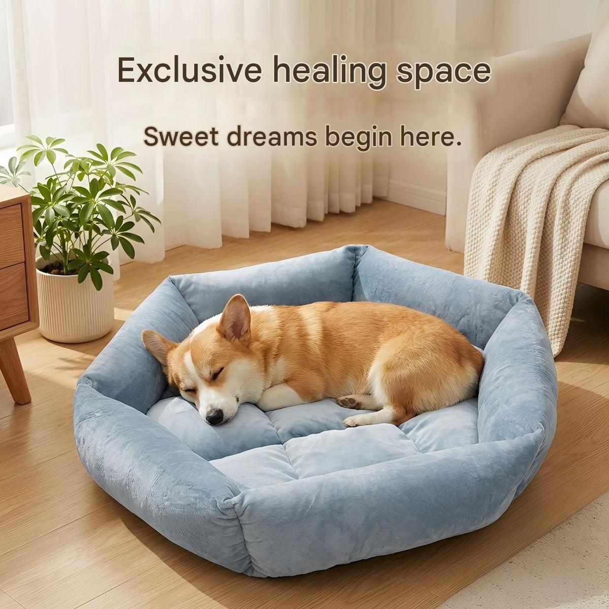 Ultra-Soft Velvet: Premium, gentle fabric perfect for cats and dogs - TailTiddy