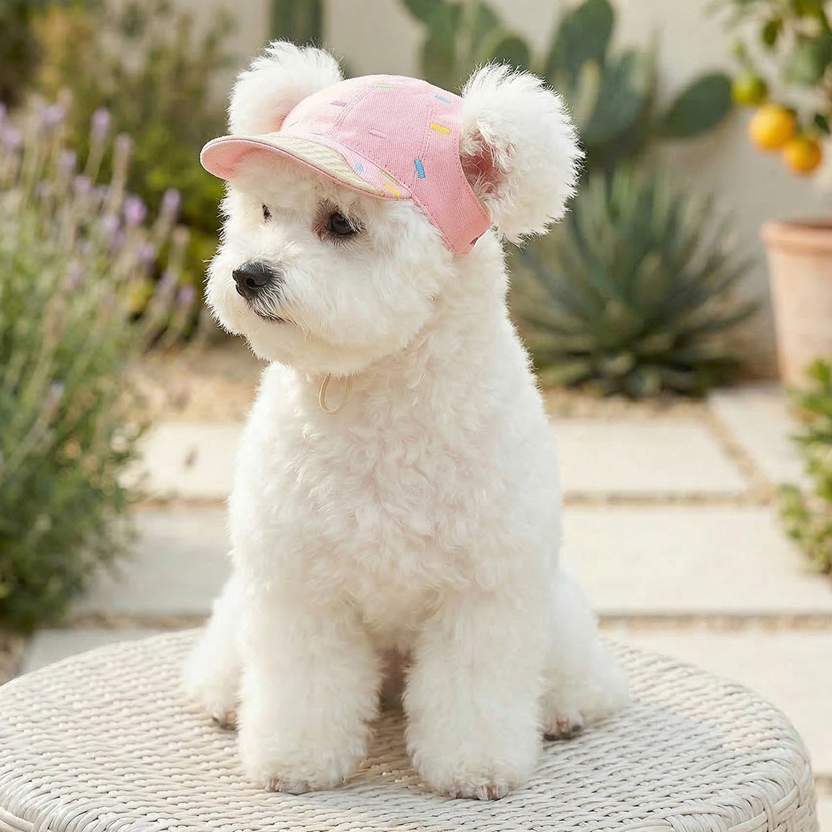 Pet Sun-protection Hat For Dressing Up And Photo Shoots - TailTiddy