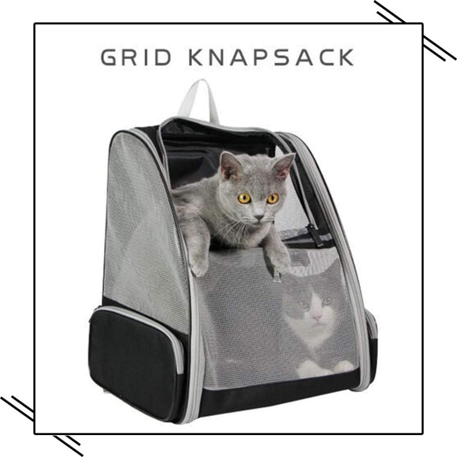Traveler Bubble Backpack Pet Carriers For Cats And Dogs - TailTiddy