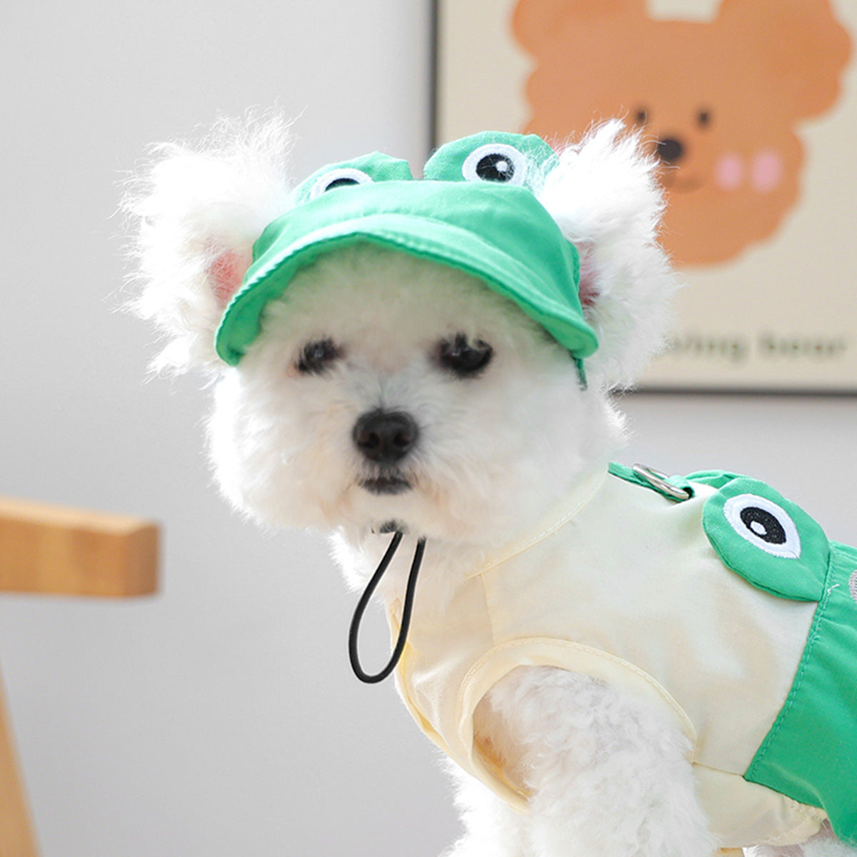 Pet Sun-protection Hat For Dressing Up And Photo Shoots - TailTiddy