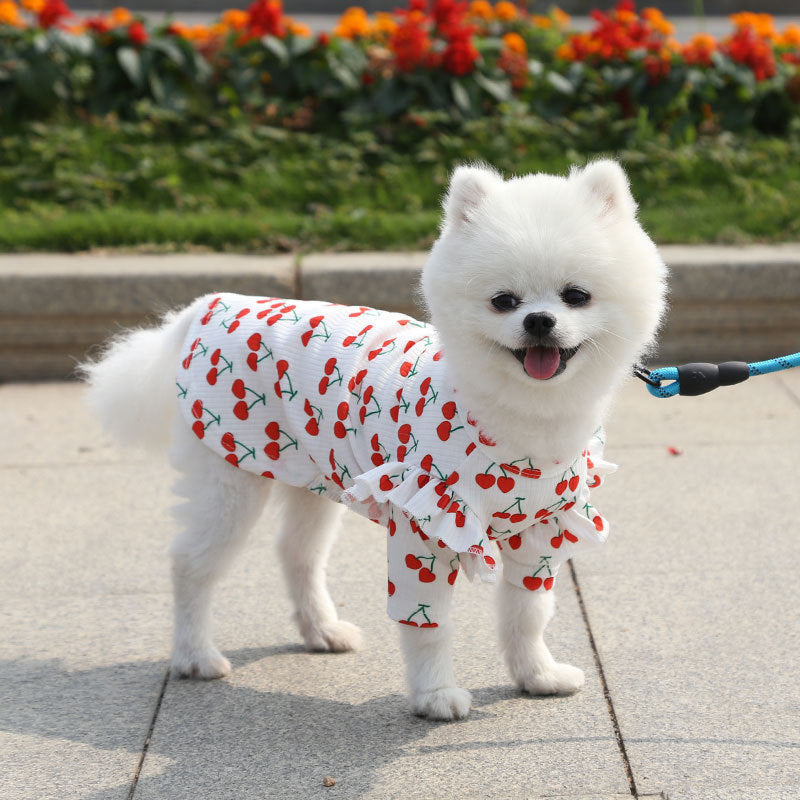 Fashion Personality Dog Bottoming Shirt Coat - TailTiddy