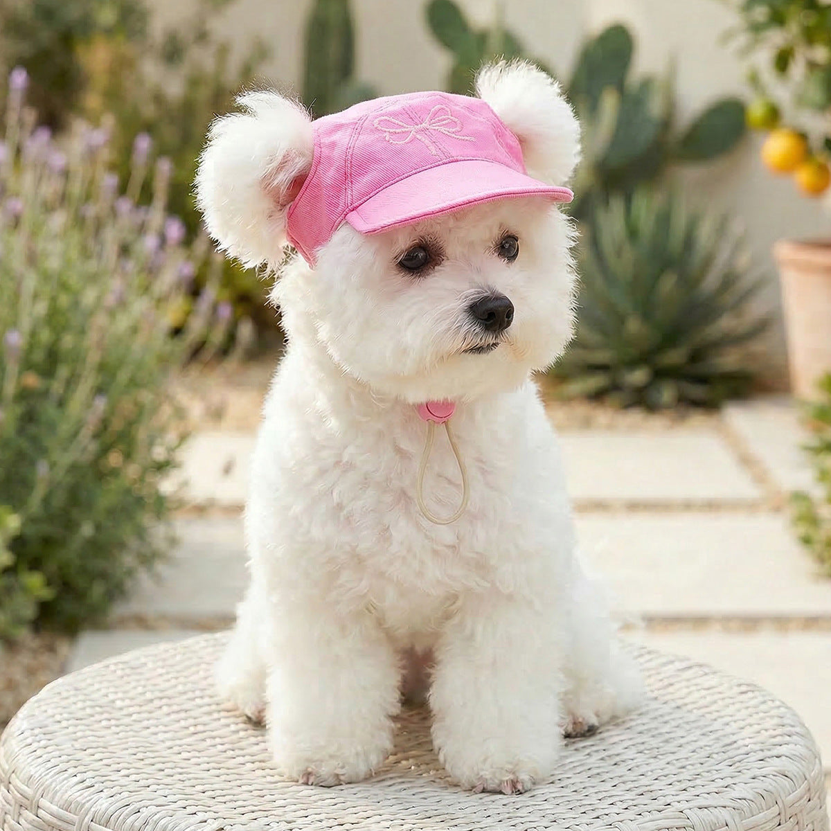 Pet Sun-protection Hat For Dressing Up And Photo Shoots - TailTiddy