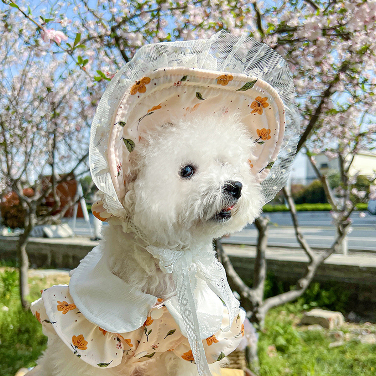 Pet Sun-protection Hat For Dressing Up And Photo Shoots - TailTiddy