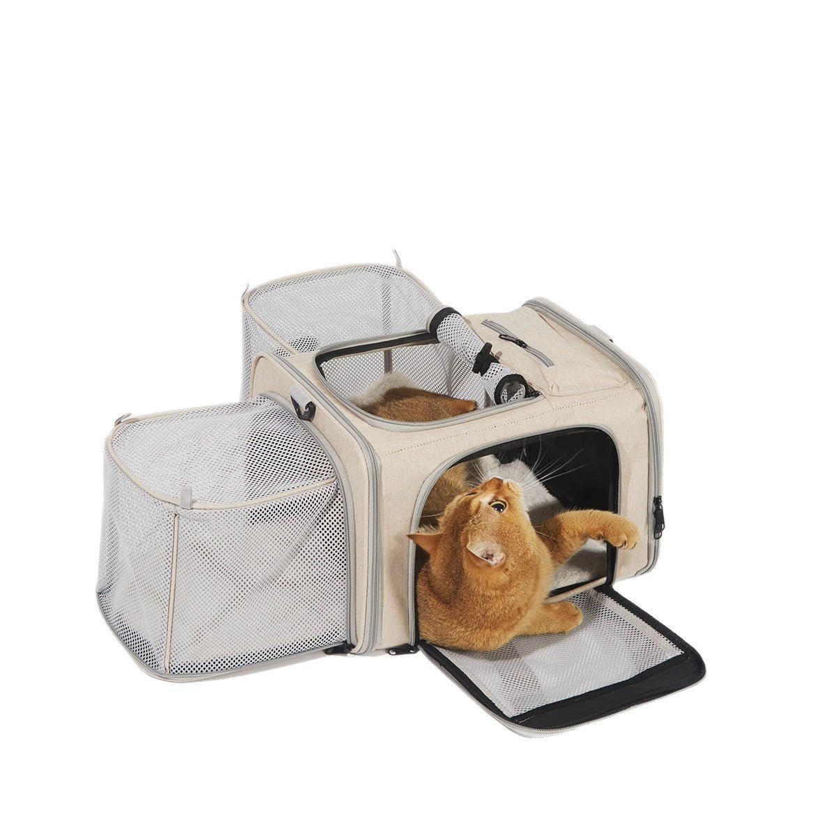 Portable Outdoor Cat Carrier – All-Weather Breathable Expandable Pet Bag for Dogs & Cats - TailTiddy
