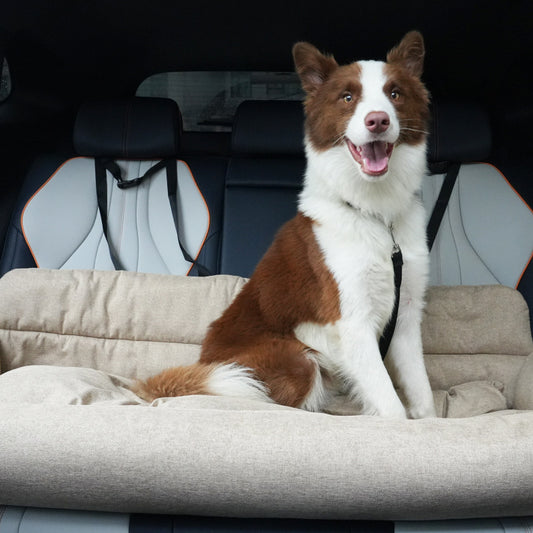 Rear-seat Pet Bed For Cars Dog Bed - TailTiddy