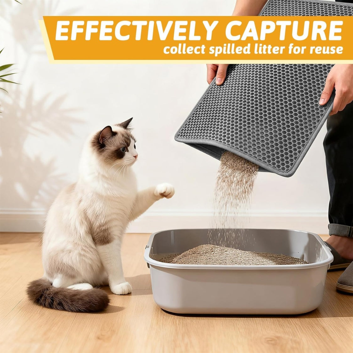 Cat Litter Mat – Double-Layer Waterproof Litter Trapping Mat with Honeycomb Design - TailTiddy