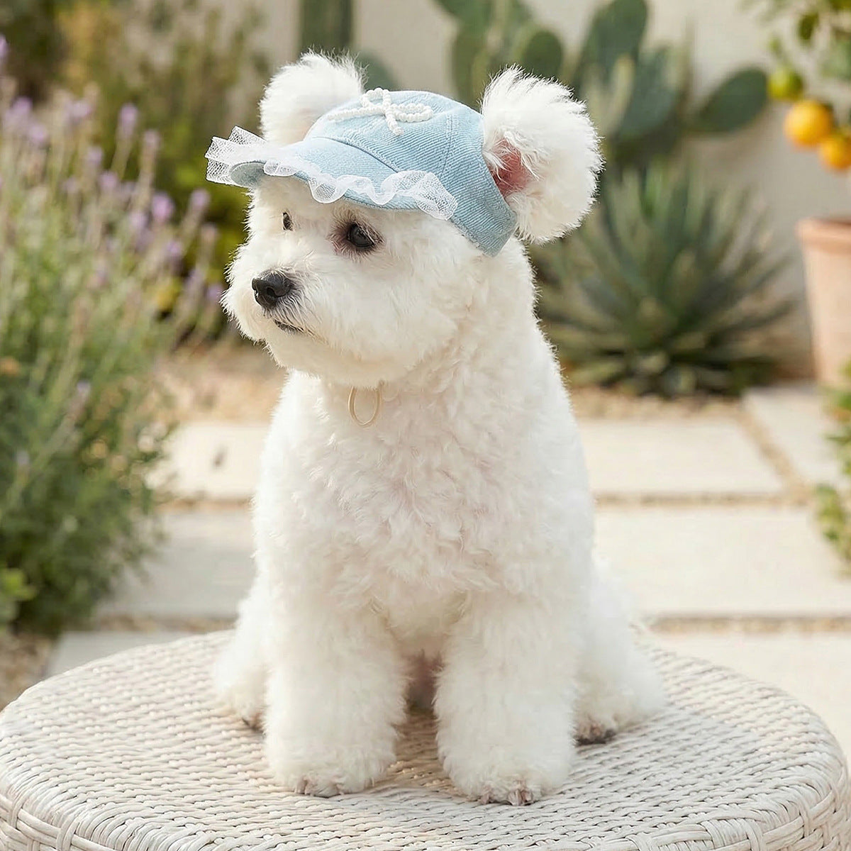 Pet Sun-protection Hat For Dressing Up And Photo Shoots - TailTiddy