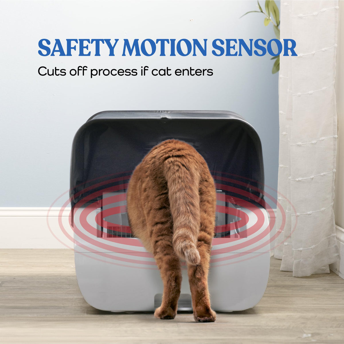 Smart Cat Litter Box Cat Litter Box Wide Opening - TailTiddy