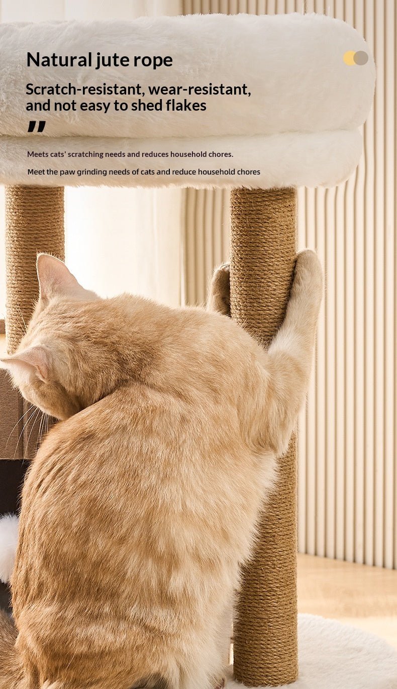 Cat Tree For Home Use, Space-saving Cave-style Cat Bed - TailTiddy