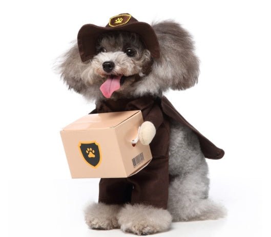 Cosplay Pet Standing Outfit – Funny Dog Costume with Hat, Clothes, and Cloak for Halloween & Christmas - TailTiddy
