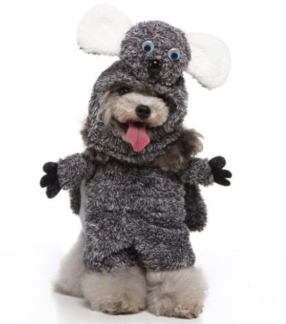 Cosplay Pet Standing Outfit – Funny Dog Costume with Hat, Clothes, and Cloak for Halloween & Christmas - TailTiddy