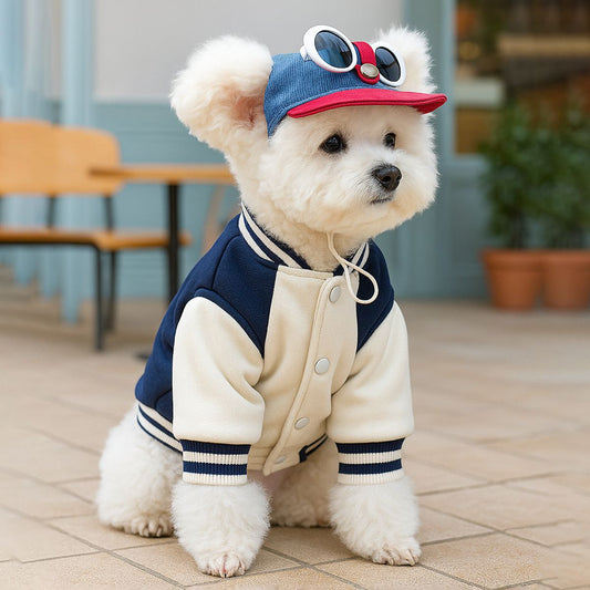Pet Sun-protection Hat For Dressing Up And Photo Shoots - TailTiddy