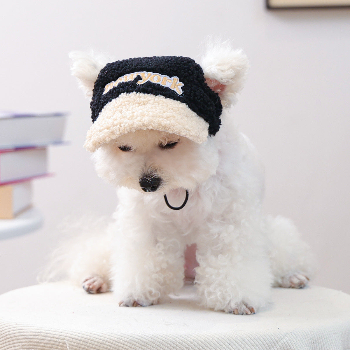 Pet Sun-protection Hat For Dressing Up And Photo Shoots - TailTiddy