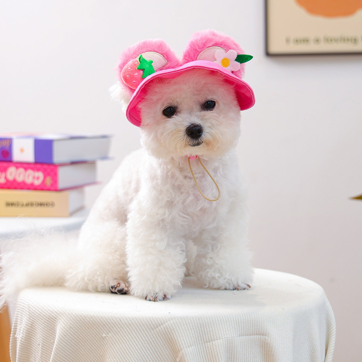 Pet Sun-protection Hat For Dressing Up And Photo Shoots - TailTiddy