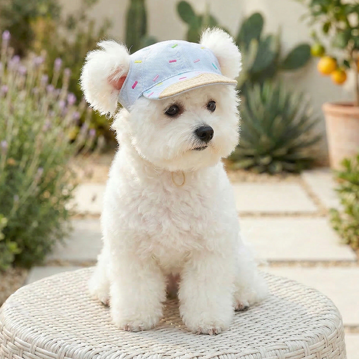 Pet Sun-protection Hat For Dressing Up And Photo Shoots - TailTiddy