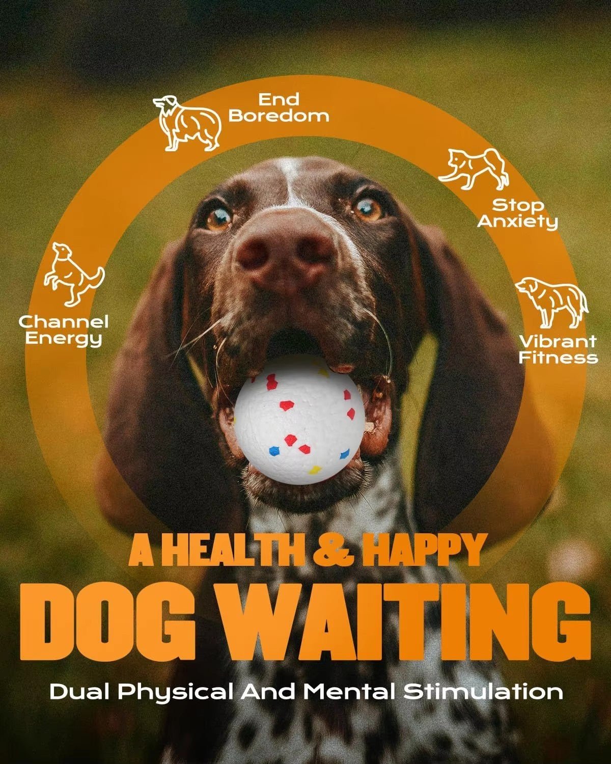 Dog Automatic Ball Launcher With 3 Balls Pet Ball Thrower Interactive Game - TailTiddy