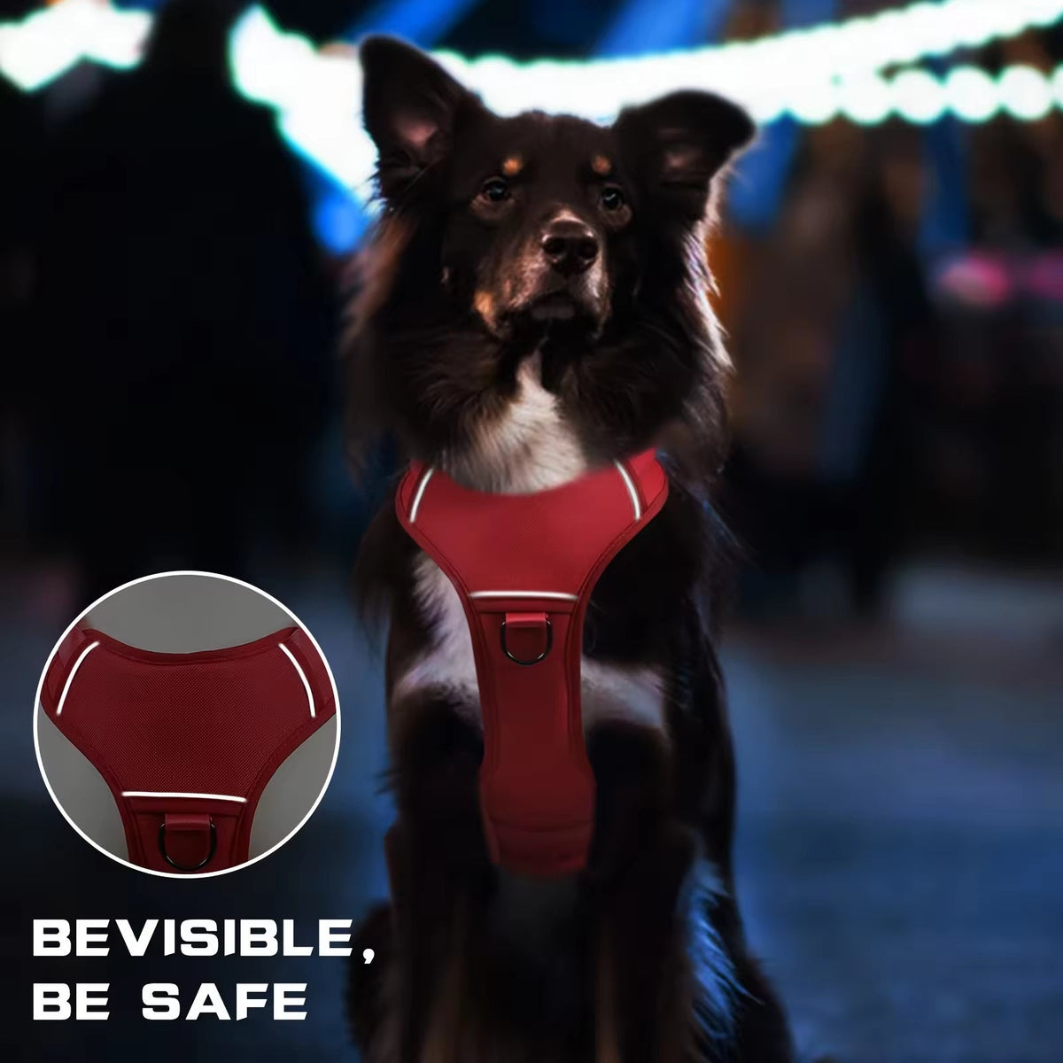 Durable Nylon Tactical Service Dog Harness - TailTiddy