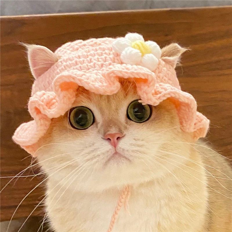Hand-Painted Cartoon Knitted Hat for Cats & Puppies (Soft Cotton) - TailTiddy