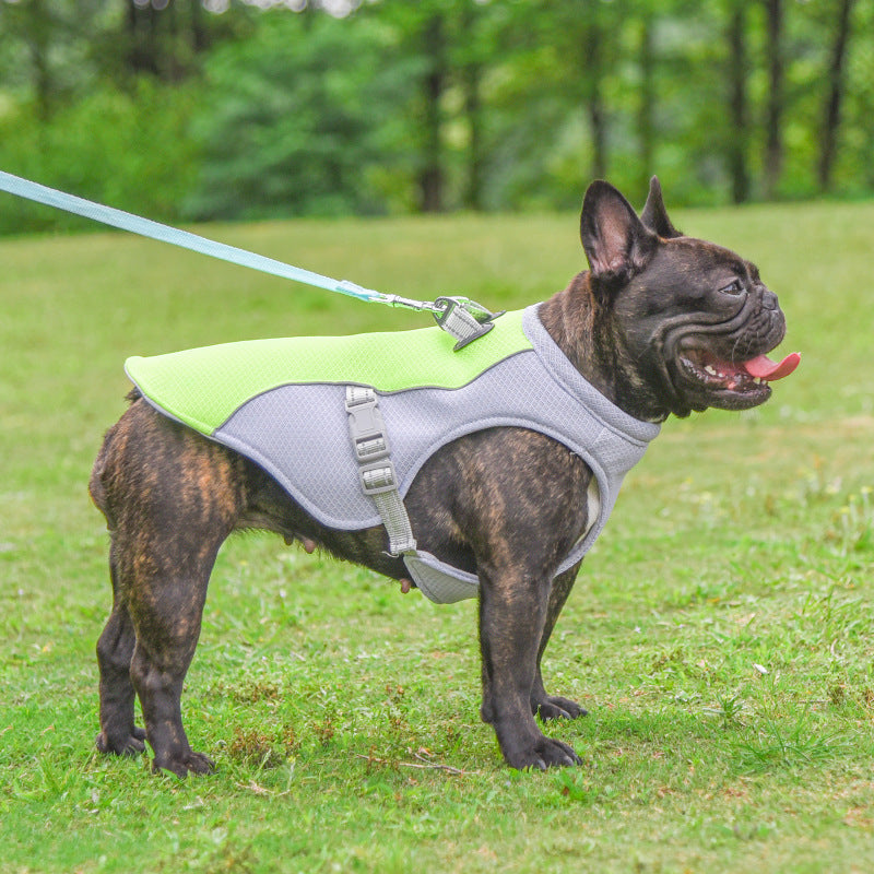 Breathable Cooling Vest for Dogs - TailTiddy