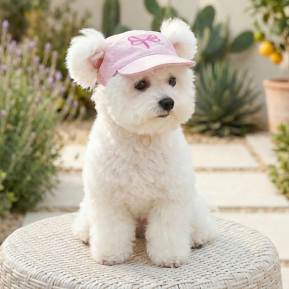 Pet Sun-protection Hat For Dressing Up And Photo Shoots - TailTiddy