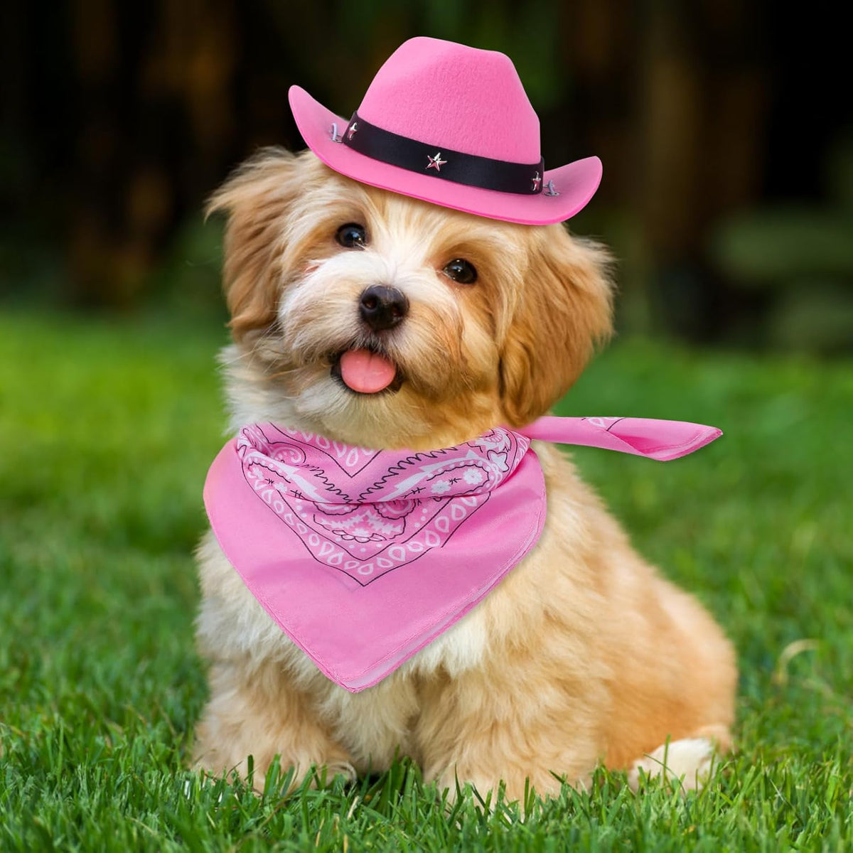 Cat Cowboy Costume Cat Cowboy Hat And Bandana Set Cat Halloween Costumes Cowboy Cat Pet Costume Funny Halloween Costumes For Cats Kittens Pets - TailTiddy