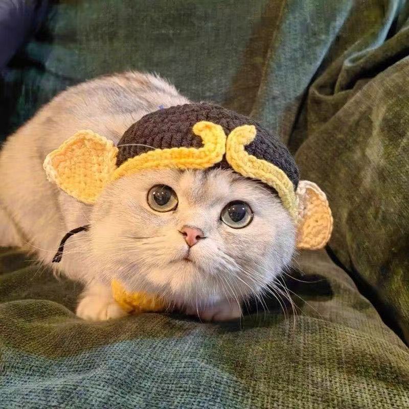 Hand-Painted Cartoon Knitted Hat for Cats & Puppies (Soft Cotton) - TailTiddy