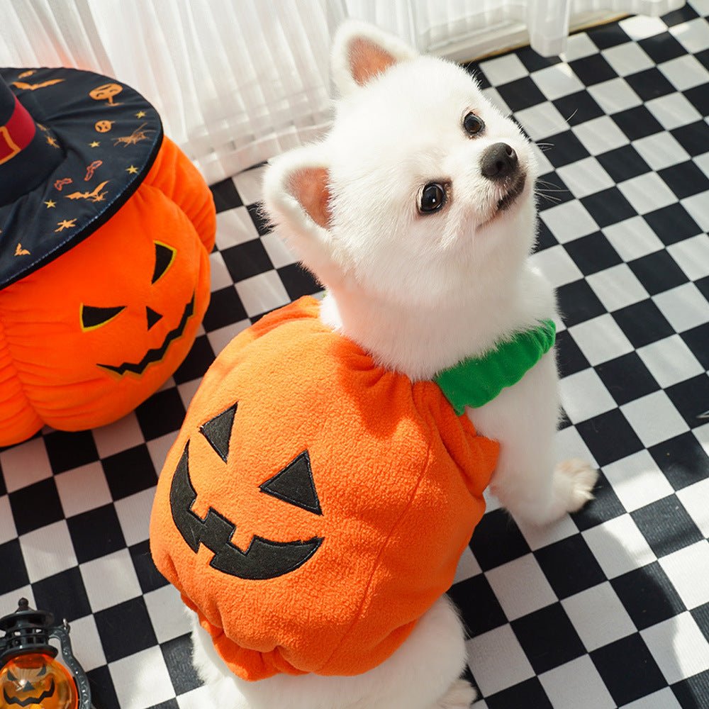 Halloween Pumpkin Vest for Dogs & Cats – Festive Pet Costume Harness for Small Animals - TailTiddy