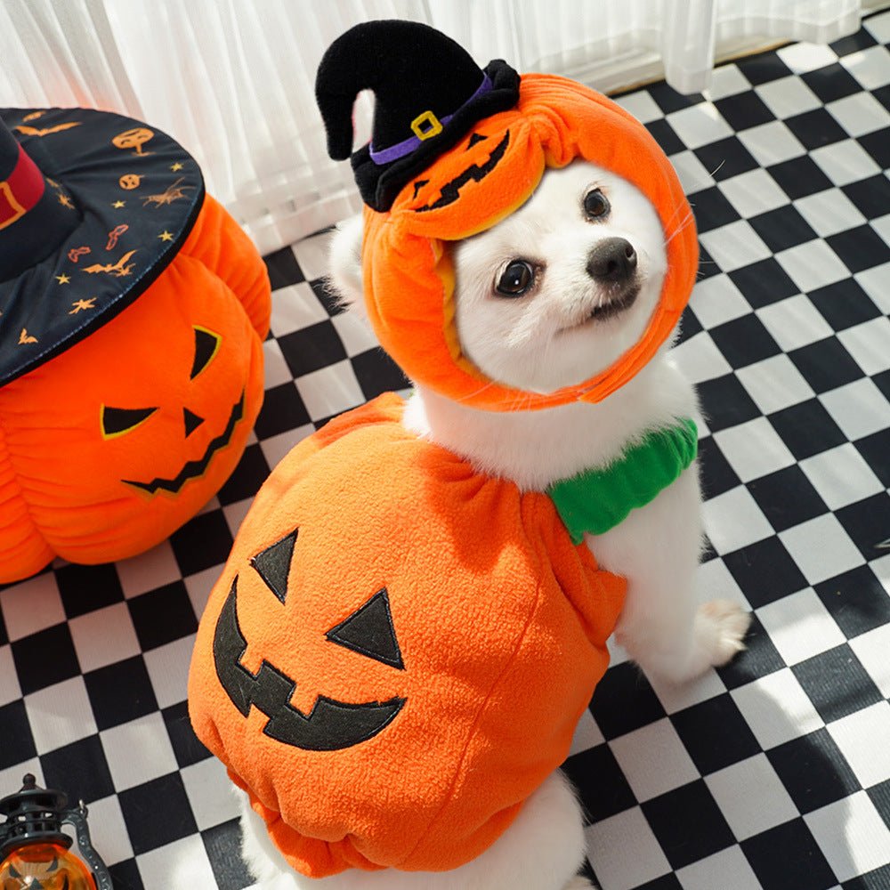 Halloween Pumpkin Vest for Dogs & Cats – Festive Pet Costume Harness for Small Animals - TailTiddy