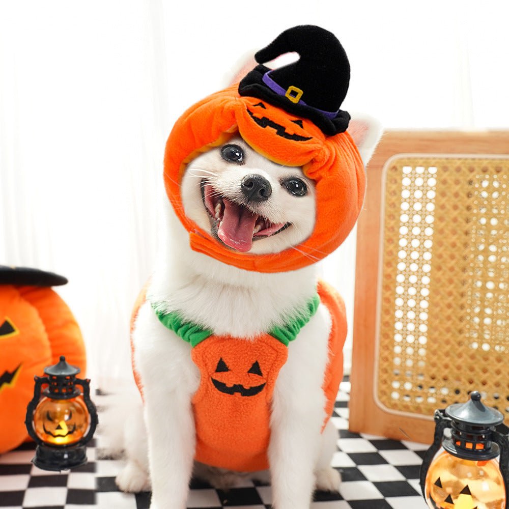Halloween Pumpkin Vest for Dogs & Cats – Festive Pet Costume Harness for Small Animals - TailTiddy