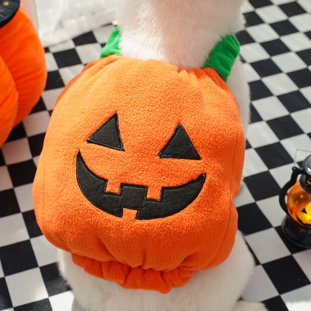 Halloween Pumpkin Vest for Dogs & Cats – Festive Pet Costume Harness for Small Animals - TailTiddy