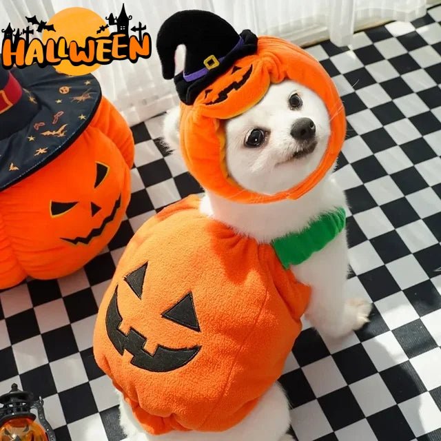 Halloween Pumpkin Vest for Dogs & Cats – Festive Pet Costume Harness for Small Animals - TailTiddy