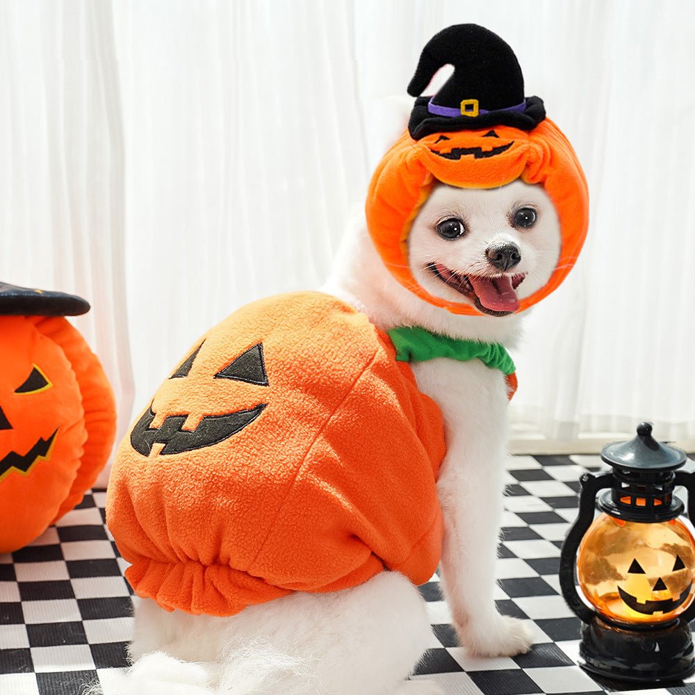Halloween Pumpkin Vest for Dogs & Cats – Festive Pet Costume Harness for Small Animals - TailTiddy