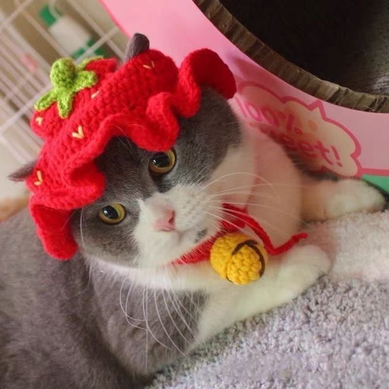 Hand-Painted Cartoon Knitted Hat for Cats & Puppies (Soft Cotton) - TailTiddy