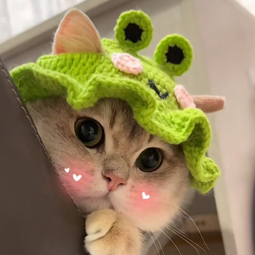 Hand-Painted Cartoon Knitted Hat for Cats & Puppies (Soft Cotton) - TailTiddy