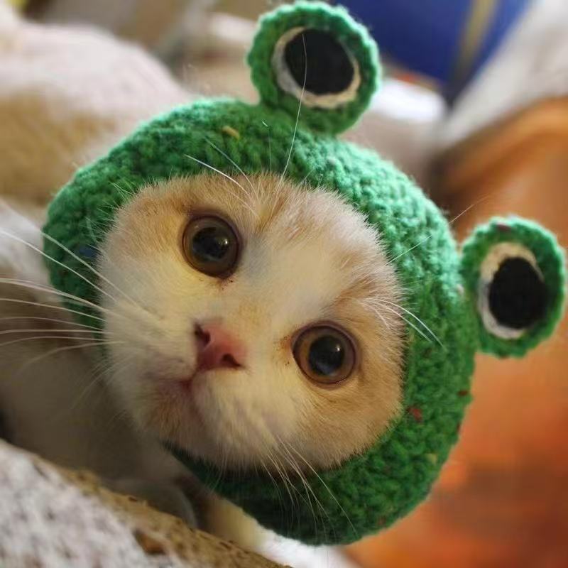 Hand-Painted Cartoon Knitted Hat for Cats & Puppies (Soft Cotton) - TailTiddy