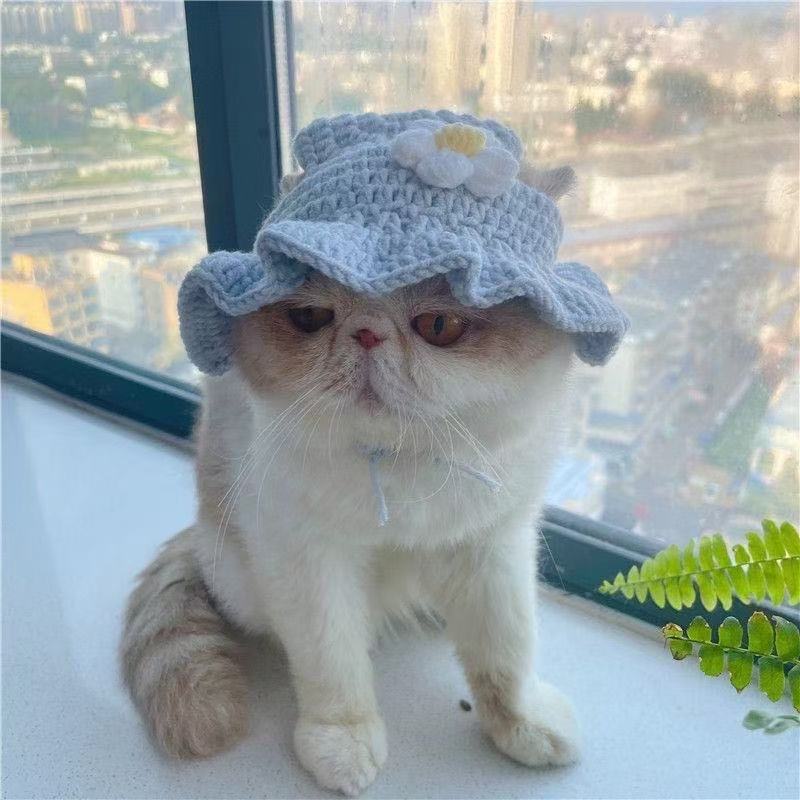 Hand-Painted Cartoon Knitted Hat for Cats & Puppies (Soft Cotton) - TailTiddy