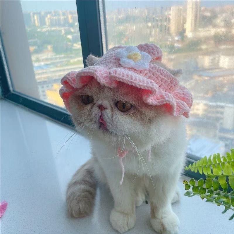 Hand-Painted Cartoon Knitted Hat for Cats & Puppies (Soft Cotton) - TailTiddy