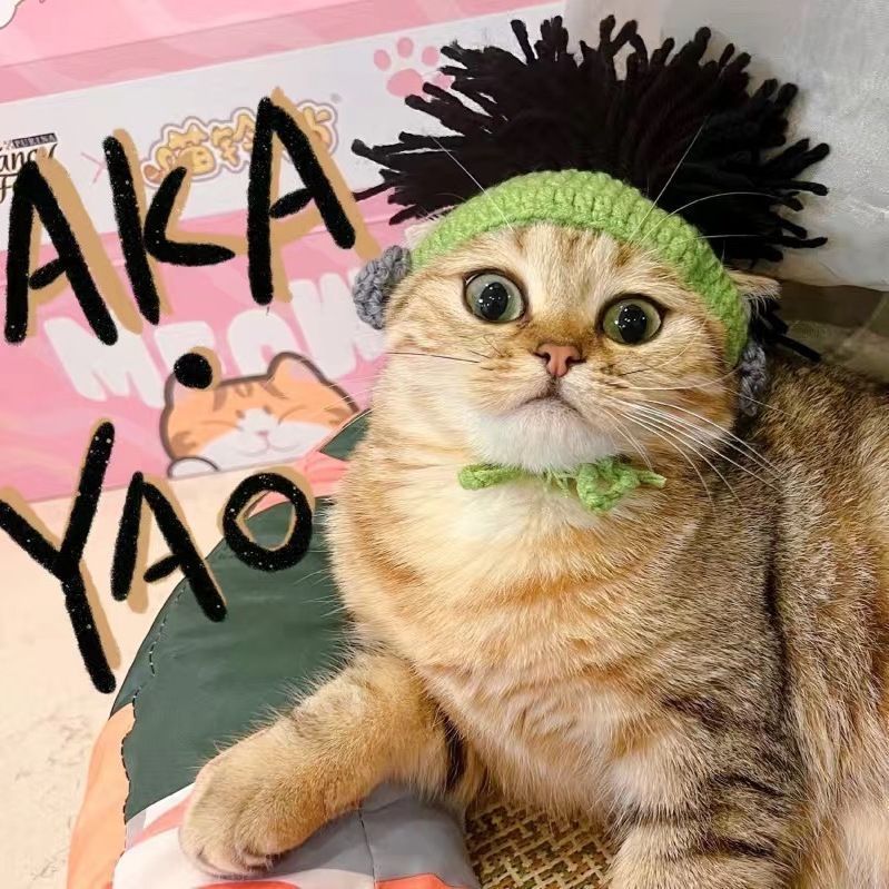 Hand-Painted Cartoon Knitted Hat for Cats & Puppies (Soft Cotton) - TailTiddy