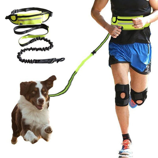 Hands-Free Dog Leash – Pet Walking and Training Belt with Shock-Absorbing - TailTiddy