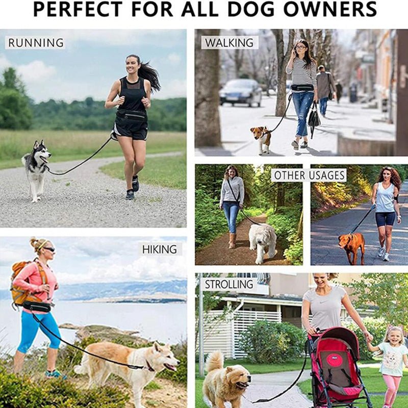 Hands-Free Dog Leash – Pet Walking and Training Belt with Shock-Absorbing - TailTiddy