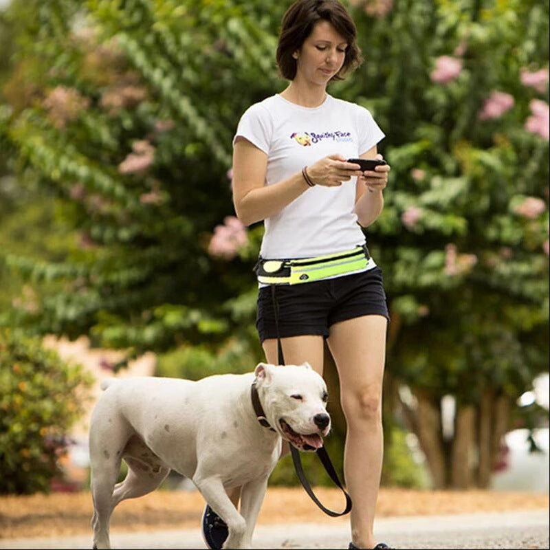 Hands-Free Dog Leash – Pet Walking and Training Belt with Shock-Absorbing - TailTiddy
