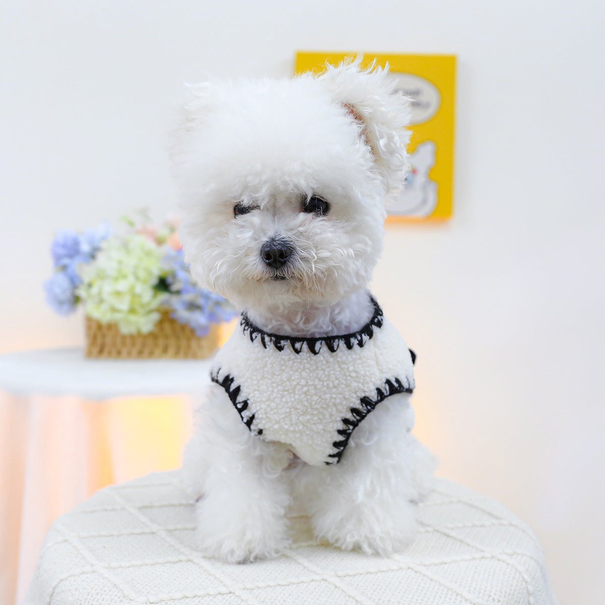Kafuu Casual Pet Vest for Dog and Cat - TailTiddy