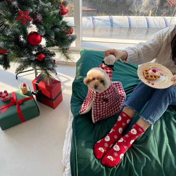Korean Style Lovely Christmas Winter Pet Cloak – Multi-Functional Warm Cape, Blanket - TailTiddy