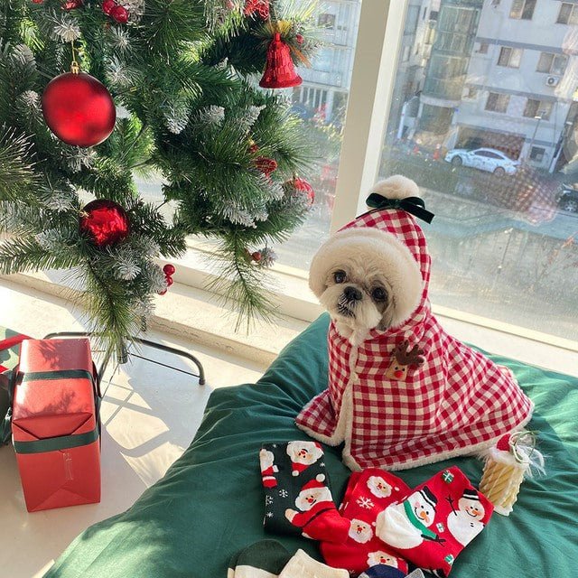 Korean Style Lovely Christmas Winter Pet Cloak – Multi-Functional Warm Cape, Blanket - TailTiddy